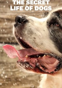 Тайная жизнь собак, Сезон 1